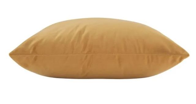 Renwil® Jonquil Mango 20''x20'' Decorative Pillow-1