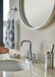 Moen® Iso™ Chrome Towel Ring-5