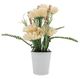 A & B Home Peach/White Gerber Daisy in Ceramic Pot-0