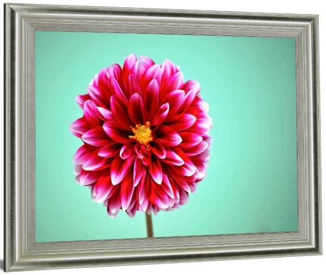 Classy Living Crimson Radiance Wall Art-2