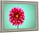 Classy Living Crimson Radiance Wall Art-2