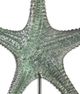 Uttermost by David Frisch Starfish Marine Green Sculptures-2
