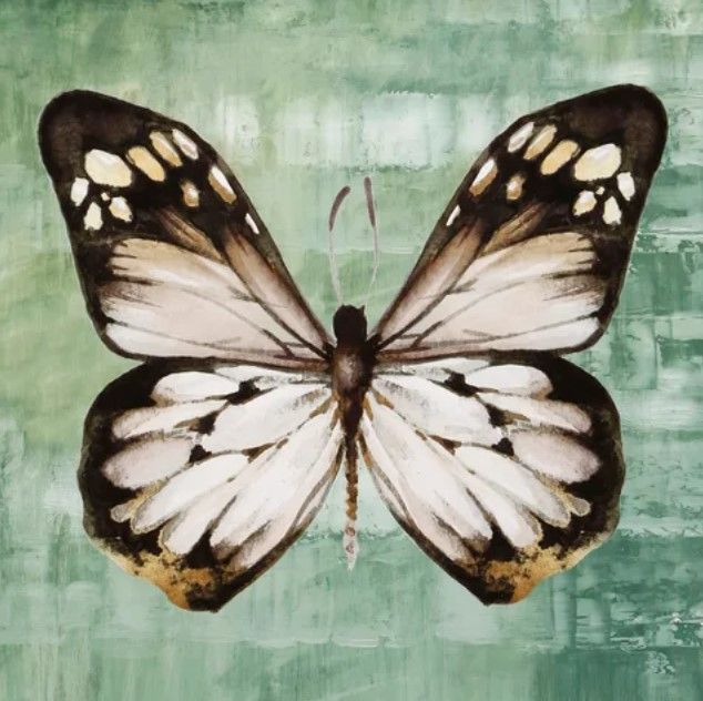 Stylecraft Green Butterfly Framed Print-1