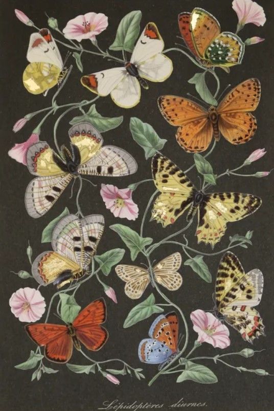 Stylecraft Le Jardin Des Plantes Wall Art-1