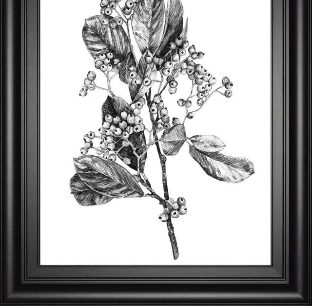 Classy Art Hawthorn Berry Branch II by Emma Scarvey Wall Art-1