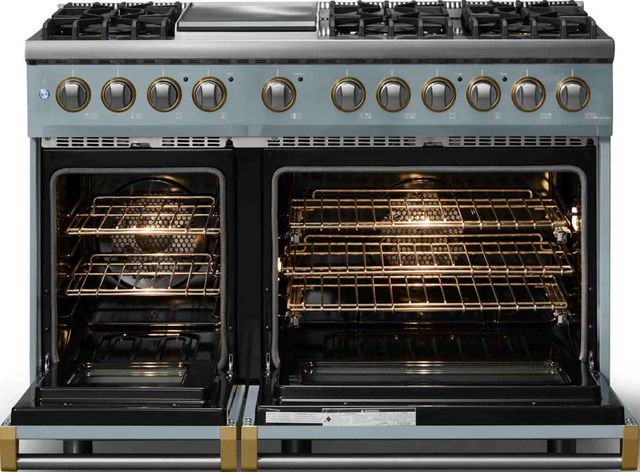Viking® 5 Series 48" Novembery Sky Pro Style Dual Fuel (NG) Range with Brushed Brass Trim-1