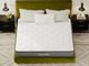 Edenshire Plush Queen Mattress-1