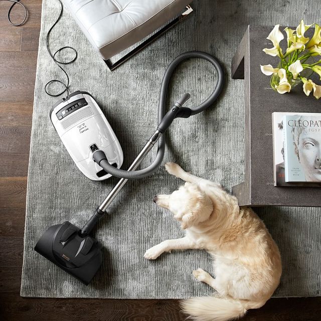 Miele Vacuum Complete C3 Cat & Dog Lotus White Canister Vacuum-1