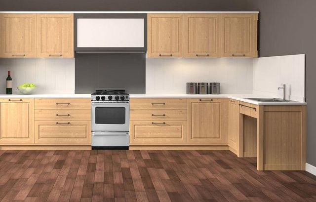 Premier Pro Series 20" Stainless Steel Slide-In Gas Range-1