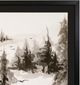 Stylecraft Free Flight IV Wall Art-1