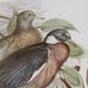 Olliix by Martha Stewart Pretry Bird 4 Piece Set Multi-Colored Double Mat Framed Graphic-1