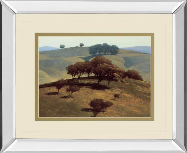 Classy Art Hills Near Chico by N. Bohne Mirror Framed Wall Art-0