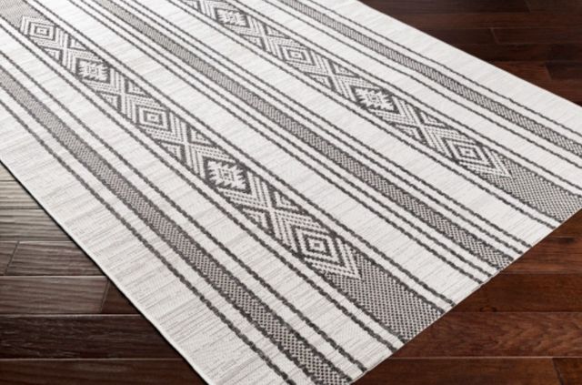 Surya Eagean Charcoal/Off-White 4'x6' Area Rug-2