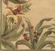 KAS Rugs Sparta Ivory Rainforest 5'x8' Rug-1