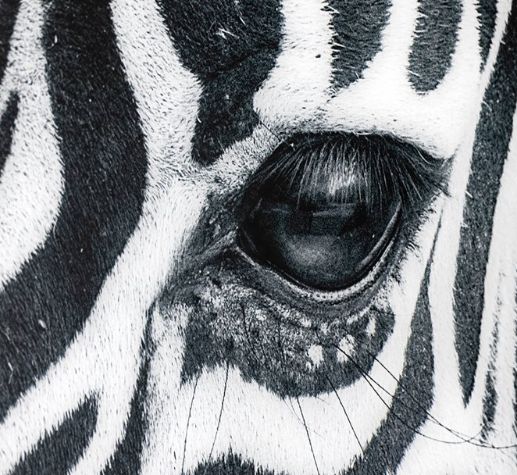 YHD Black & White Wall Art-3