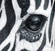 YHD Black & White Wall Art-3