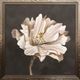 StyleCraft Willow Blossom II Cream Wall Art-0