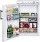 Unique® Appliances 22" 3.4 Cu. Ft. White Propane Compact Refrigerator-2