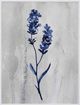 Stylecraft Indigo Botanical II Gray/White Wall Art-1