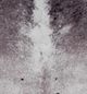 Signature Design by Ashley® Tailboy Gray 5"x7" Area Rug-1