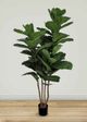 Le Present Fiddle Leaf Fig Green 84" Faux Botanical-5