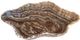 A & B Home Macias Brown Hand-Carved Zebra Onyx Bowl-0