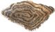 A & B Home Macias Brown Hand-Carved Zebra Onyx Bowl-0