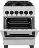 ZLINE Autograph Edition 24" Satin Stainless Steel Pro Style Dual Fuel Range-2
