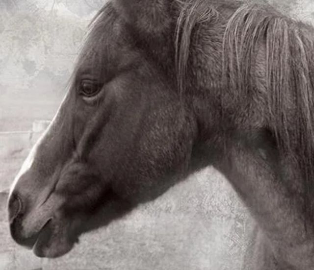 Classy Art Vintage View II by Carol Robinson Wall Art-1