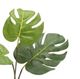 A & B Home Green Monstera Spray-1