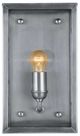 Currey & Company Royster Antique Silver/Clear Outdoor Wall Sconce-1