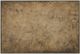 Renwil® Acacia Wall Art-0