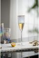 A & B Home Clear Glass Champagne Flute-2