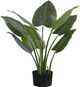 Monarch Specialties Inc. Green/Black 37" Artificial Potted Aureum Tree-0