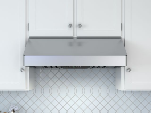 Zephyr Pro Collection Tempest I 36" Stainless Steel Pro Style Under Cabinet Hood-0