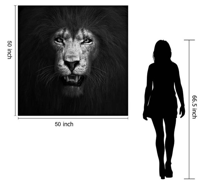 Classy Art Lion Black and White Wall Art-2