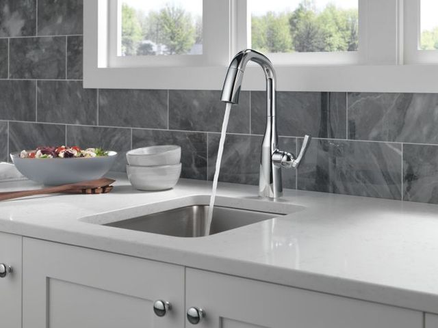 Delta Stryke® Lumicoat® Chrome Single Handle  Bar/Prep Faucet-3