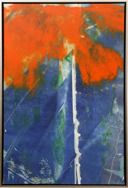 Stylecraft Orange Passion II Canvas Print-0