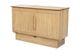 Cottage Creek Furniture Oakcrest Sleep Chest with Mattress and USB-3
