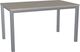 Amisco Customizable Azilis Thermo Fused Laminate Rectangular Dining Table Top with Metal Base-1