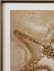 Bassett Mirror Neutral Starfish Framed Print Wall Art-1
