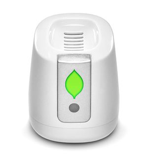Click to view more images of the product.