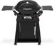 Weber® Q 2800N+ 2-Burner Midnight Black Tabletop Liquid Propane Gas Grill-0