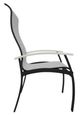 Telescope Casual Belle Isle Abalone/Black Aluminum/Fabric Outdoor Sling Supreme Arm Chair with Laguna Rustic Polymer Arm Accent-2