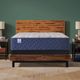 Sealy® Garden Hills 14.5" Gel Memory Foam Medium Tight Top Twin XL Mattress-1