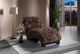 Global Furniture USA Dominic Java/Mink Chaise Lounger with USB-1