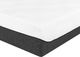 Primo™ International Northern Dream 10" Gel Memory Foam Plush Tight Top Twin XL Mattress in a Box wi-1