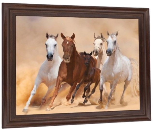 Classy Living Desert Run Wall Art-2
