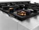 ZLINE 30" Stainless Steel Pro Style Dual Fuel Range-4