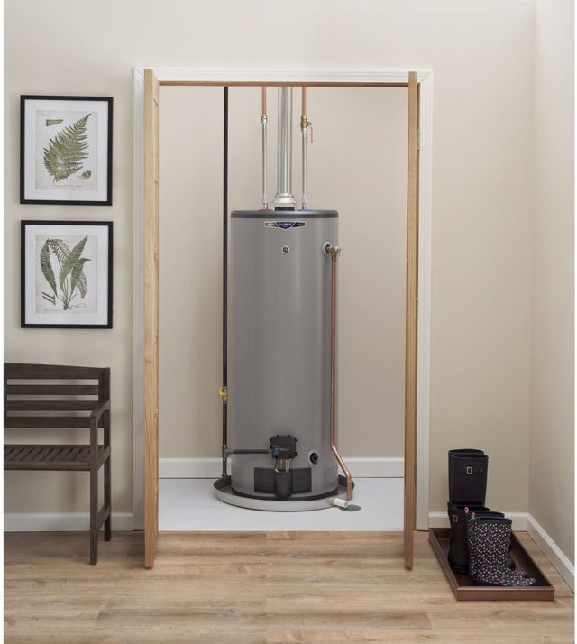 GE® 50 Gallon Gray Liquid Propane Water Heater-1